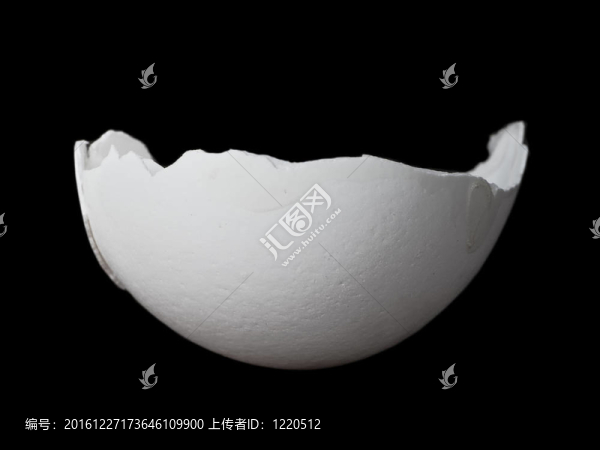 雞蛋殼