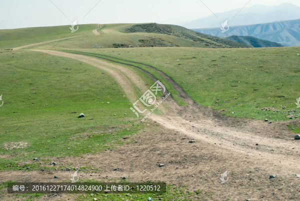 中國新疆天山；牧場