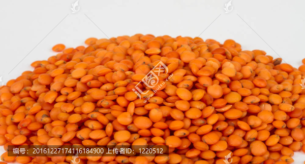 原紅扁豆堆孤立在白色背景