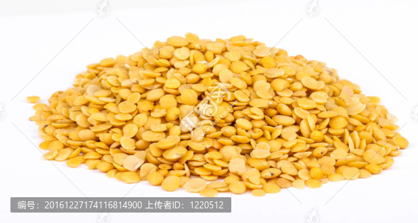 黃扁豆孤立在白色背景。微距鏡頭