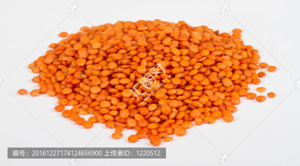 原紅扁豆堆孤立在白色背景