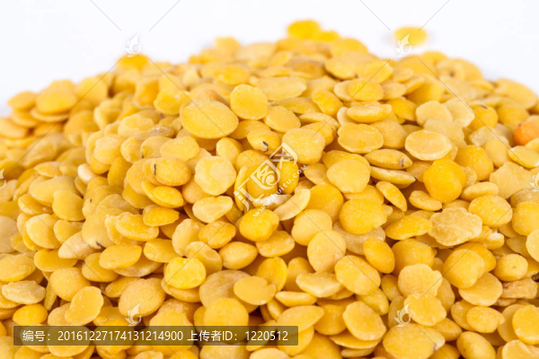 黃扁豆孤立在白色背景。微距鏡頭