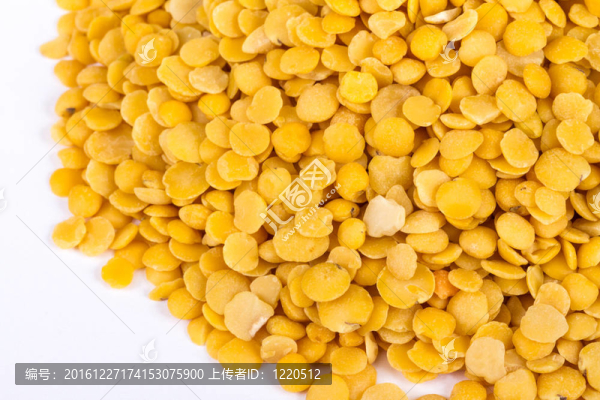 黃扁豆孤立在白色背景。微距鏡頭