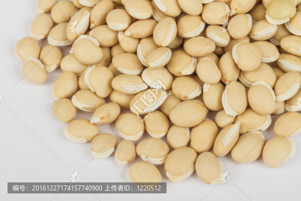 赤小豆