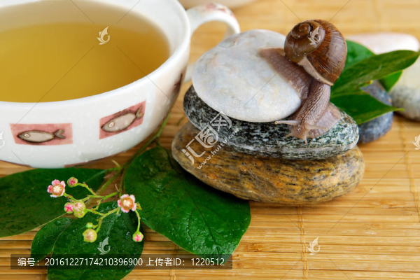 綠茶