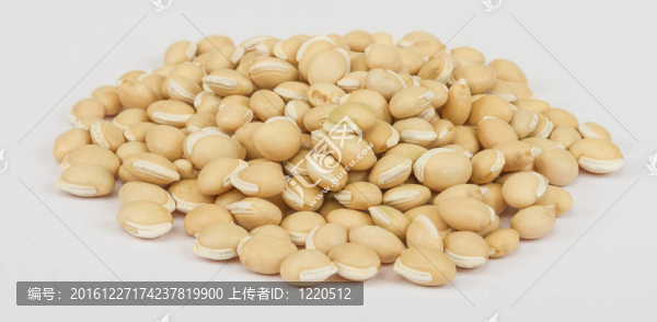 赤小豆