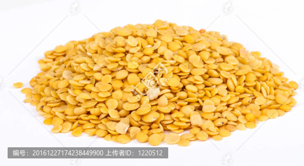 黃扁豆孤立在白色背景。微距鏡頭