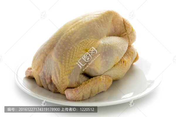 原有機放玉米喂養(yǎng)的雞