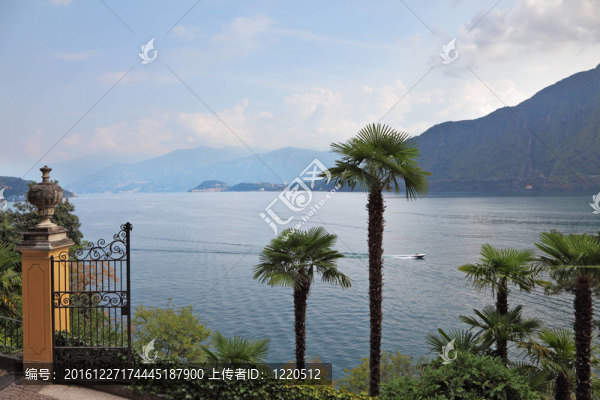 霧煙科摩湖
