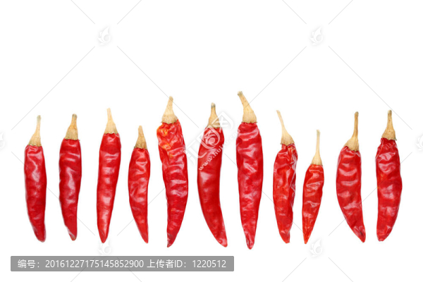 紅色的球迷