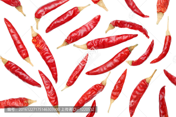 紅色的球迷