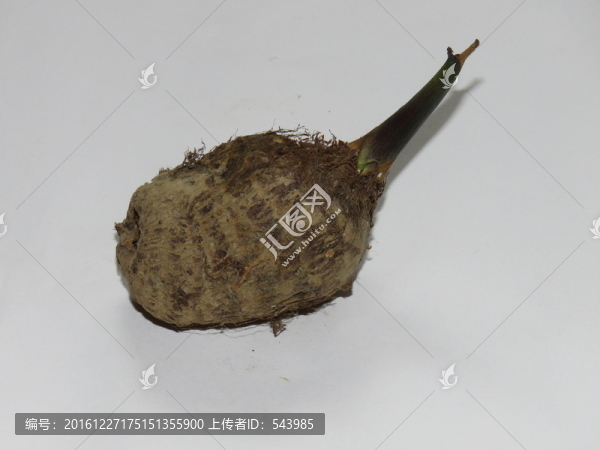 芋頭高清照片