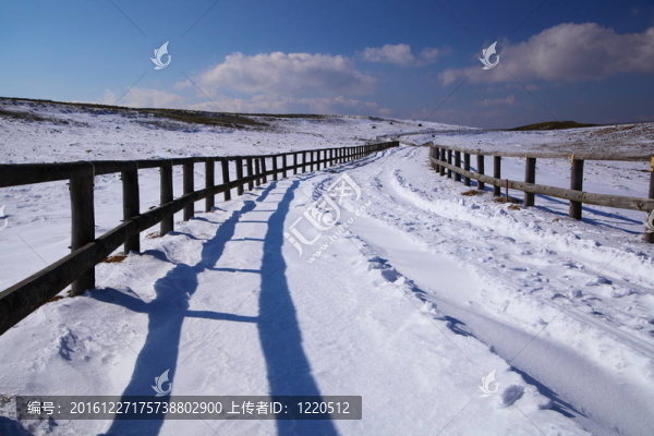 積雪的路上