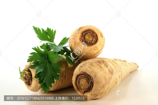 鮮香菜根