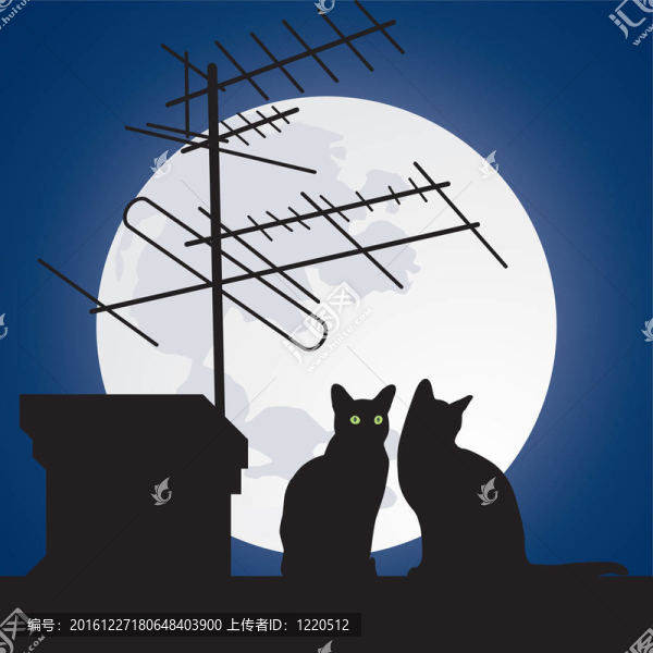 屋頂上的貓