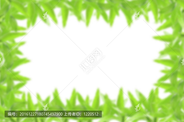 竹的背景