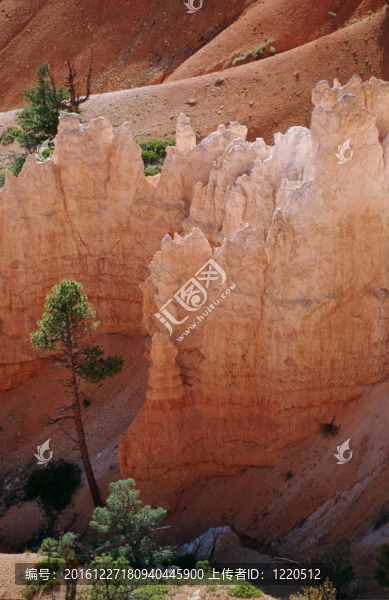布萊斯峽谷