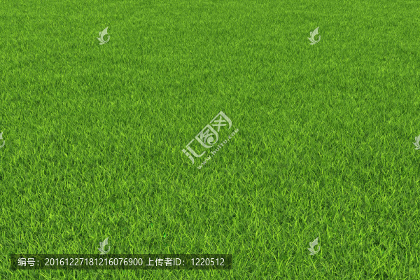 草地背景。