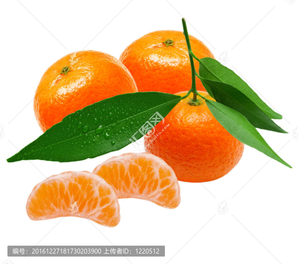 中國柑橘