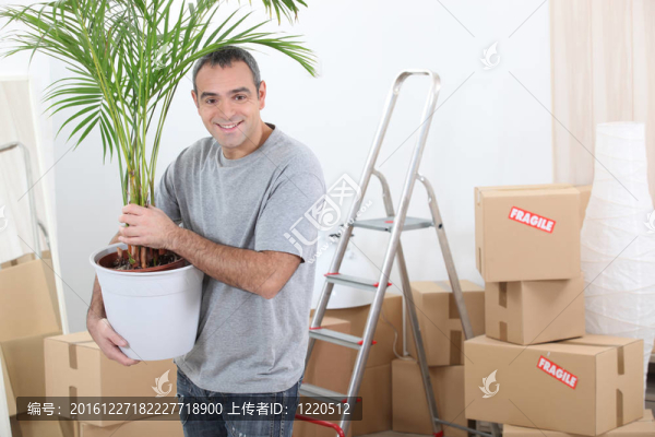 帶植物的人搬家