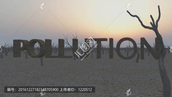 污染的概念