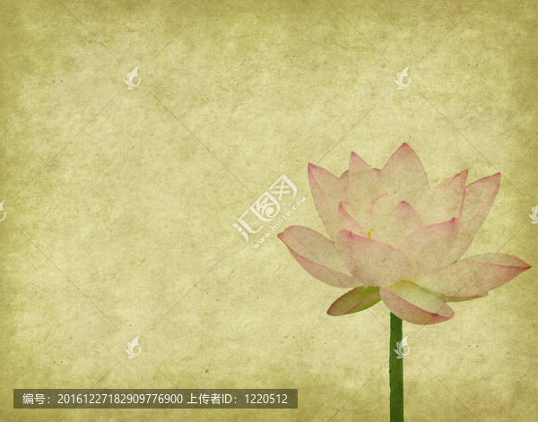 蓮花集抽象背景畫