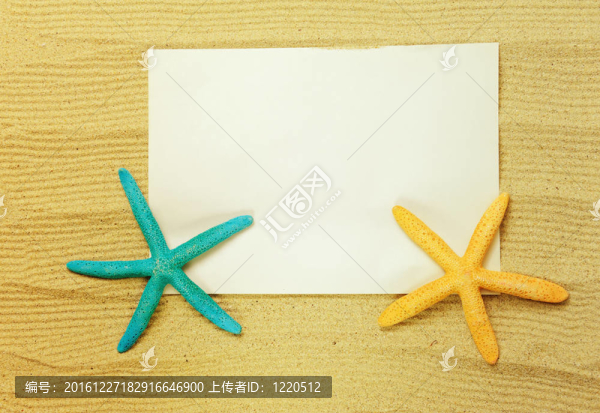 沙灘上的貝殼和貝殼；度假記憶