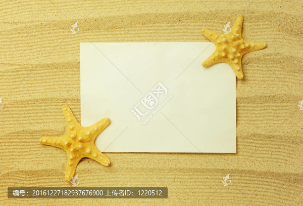 沙灘上的貝殼和貝殼；度假記憶