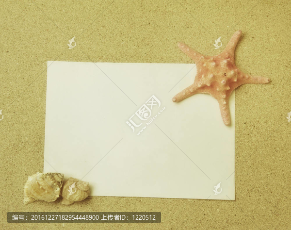 沙灘上的貝殼和貝殼；度假記憶