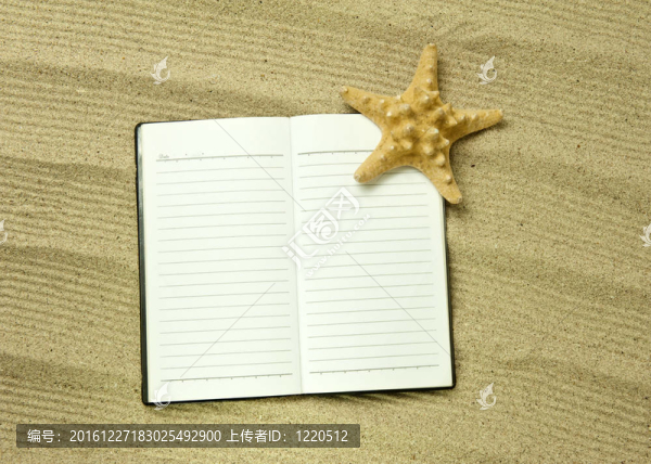 沙灘上的貝殼和貝殼；度假記憶