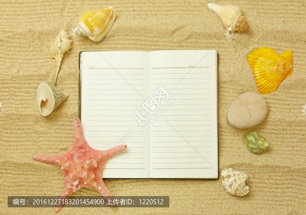 沙灘上的貝殼和貝殼；度假記憶