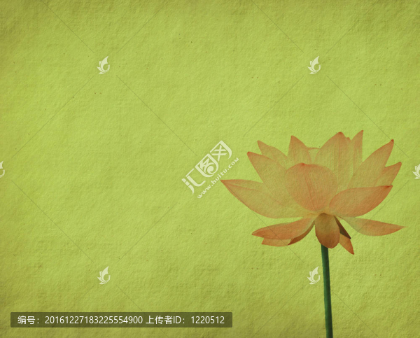 蓮花集抽象背景畫
