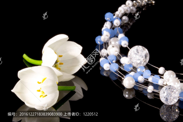 項(xiàng)鏈花