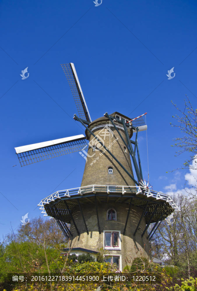 風(fēng)車在Alkmaar