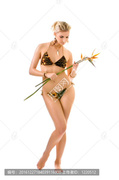 美麗的女人與天堂鳥花孤立在WH