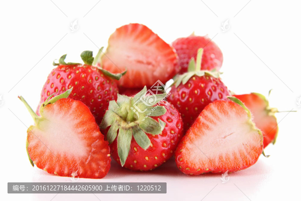 草莓離體葉片