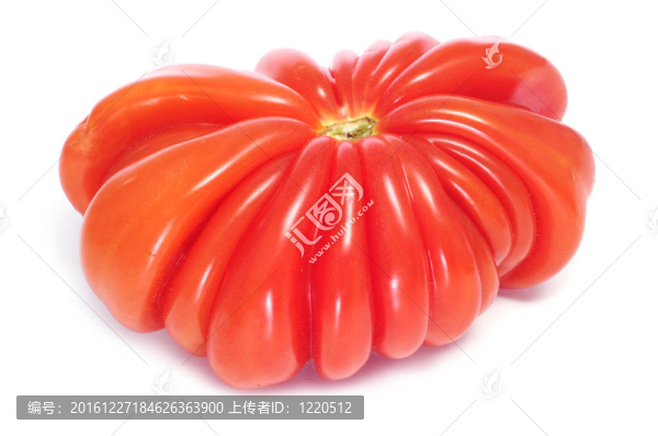 薩波特克西紅柿