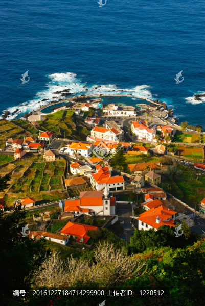 莫尼什港；Madeira