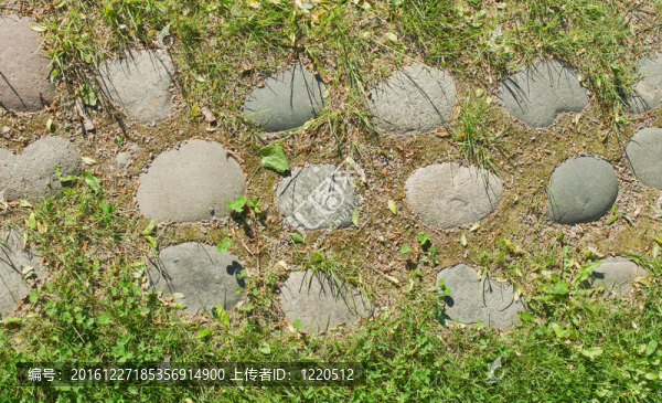 羊腸小道；背景。