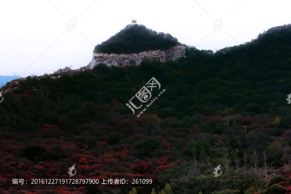 鞏義長(zhǎng)壽山紅葉,高清無(wú)噪