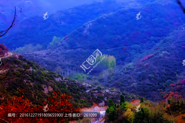 鞏義長(zhǎng)壽山紅葉,高清無(wú)噪