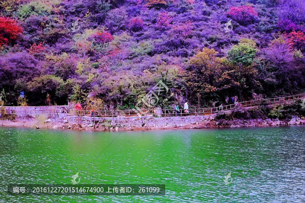 鞏義長壽山紅葉,高清無噪