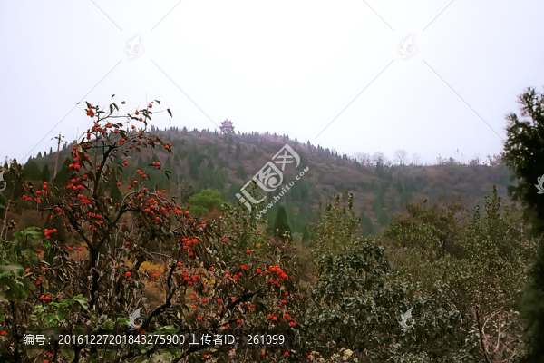 鞏義長壽山,高清無噪