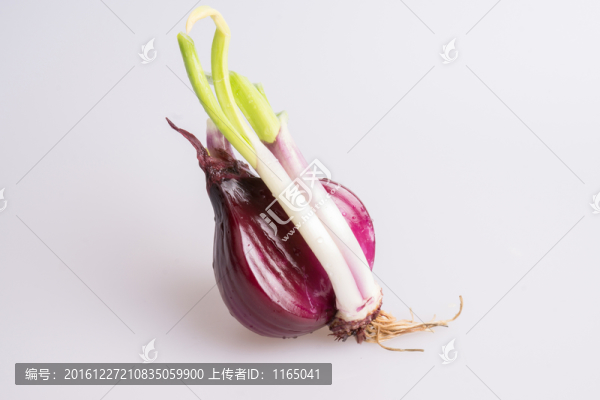 洋蔥