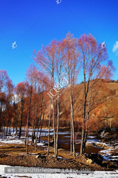 小溪紅柳景觀-匯圖網(wǎng) www.fosd68.com 小溪紅柳景觀