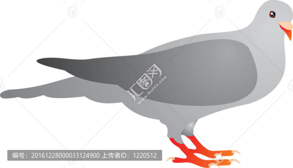 小鳥(niǎo)