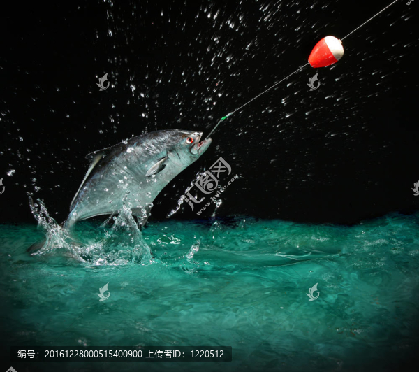 晚上釣大魚
