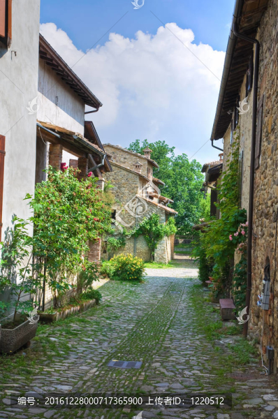 小巷。Torrechiara。Emilia,Romagna。意大利.