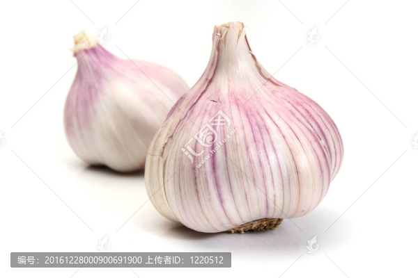 白底大蒜