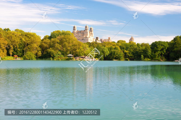 夏季紐約中央公園的池塘